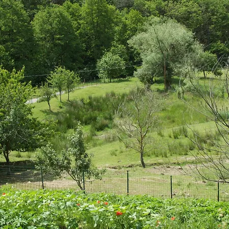 Graziella Maison d'hôtes