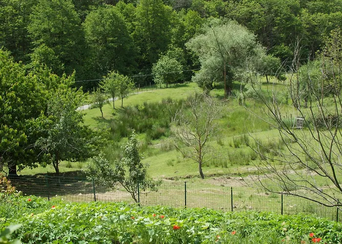 Graziella Maison d'hôtes